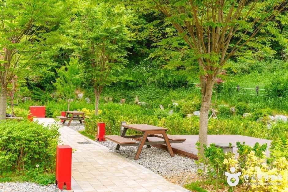 서울_천왕산 가족캠핑장 (5).jpg
