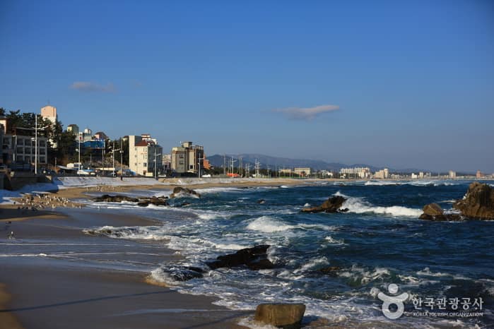 영진해변