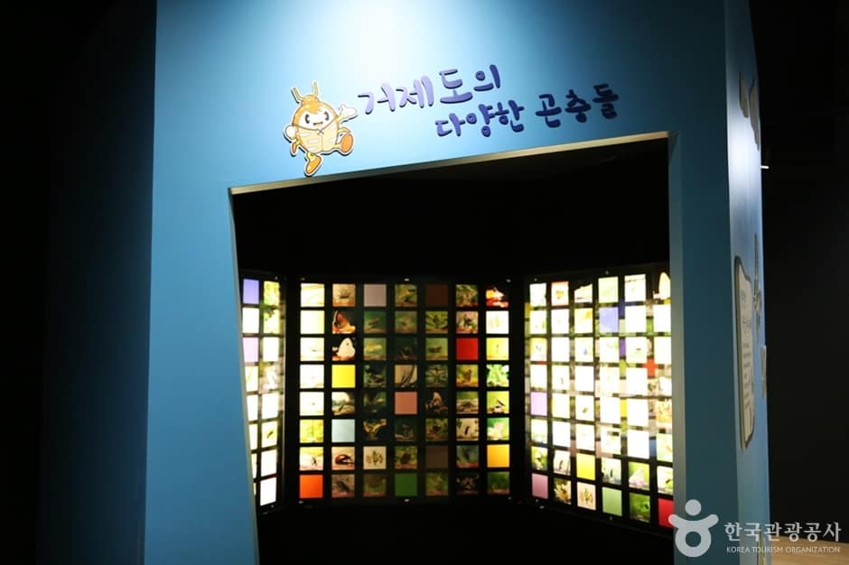 거제곤충생태박물관 (16)