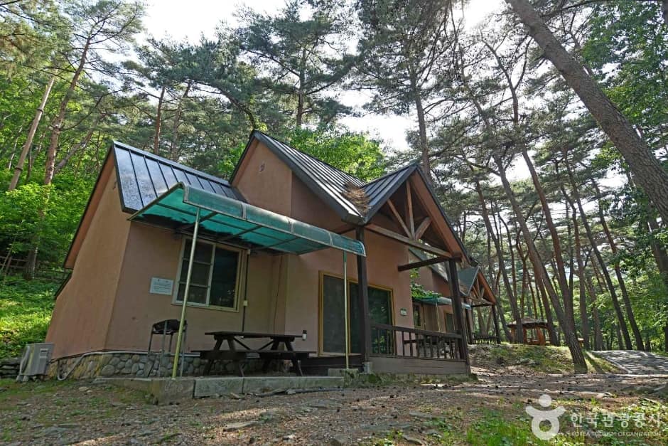 만수산자연휴양림 (2)