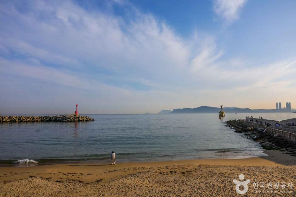 미포항 (7)