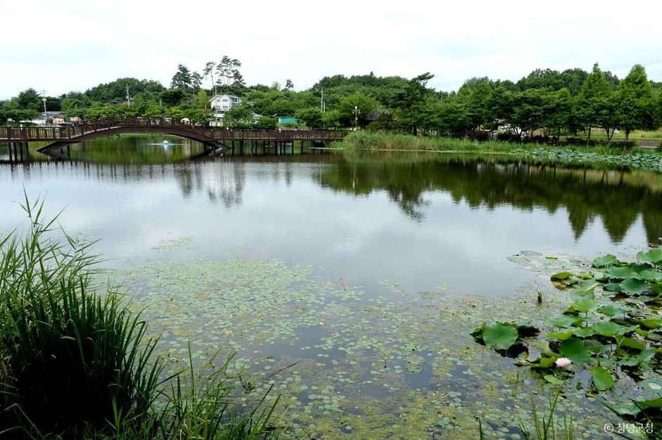 창녕_명덕생태수변공원 (6)