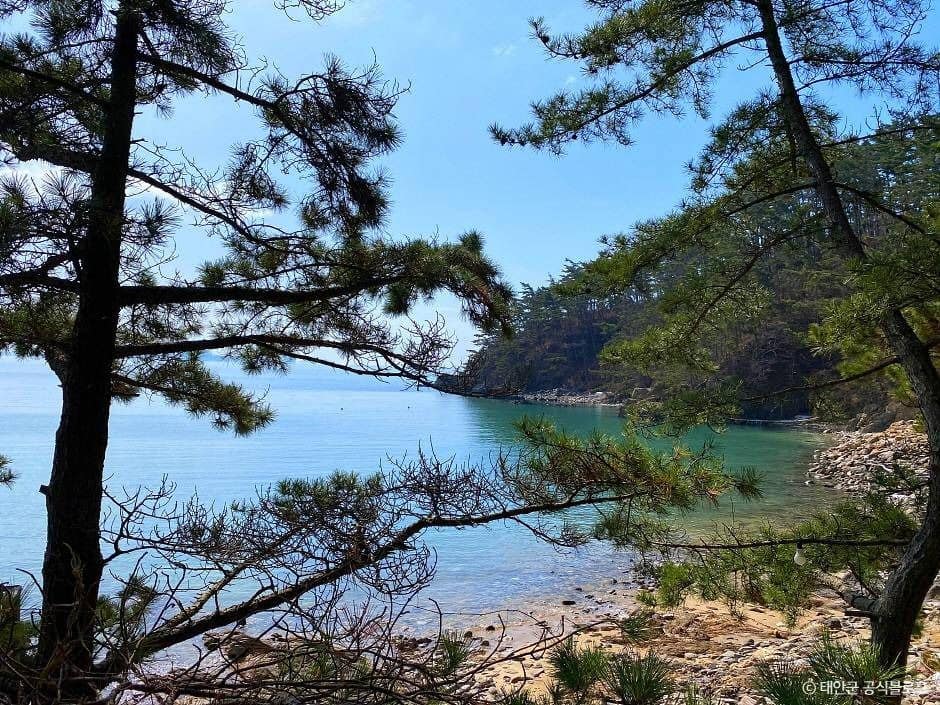 태안_꾸지나무골해수욕장 (3)