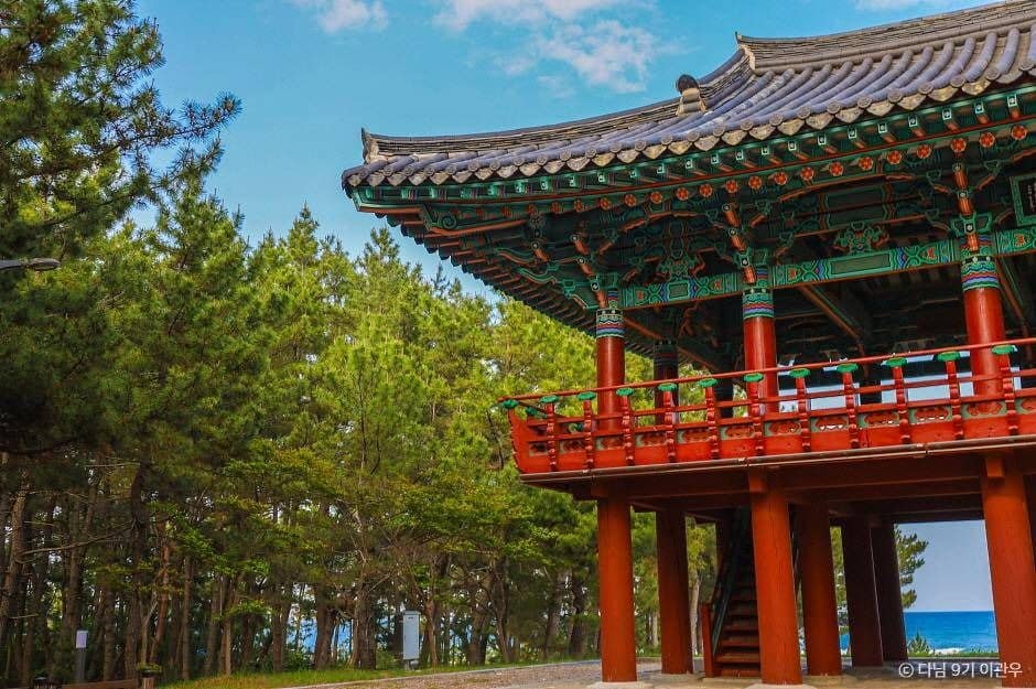 국내 기차 여행 추천, ITX-마음 노선 동해안 여행_울진 월송정_5-5