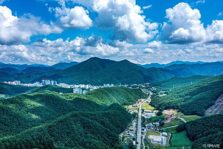 태백_연화산둘레길 (4)