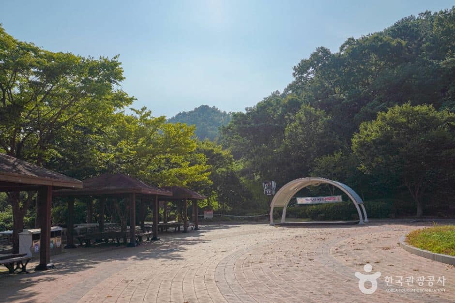 영광_숲쟁이공원 (6)
