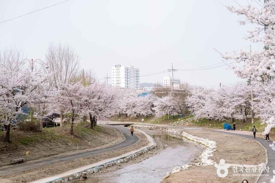 충남_천안_원성천_외부_5.jpg