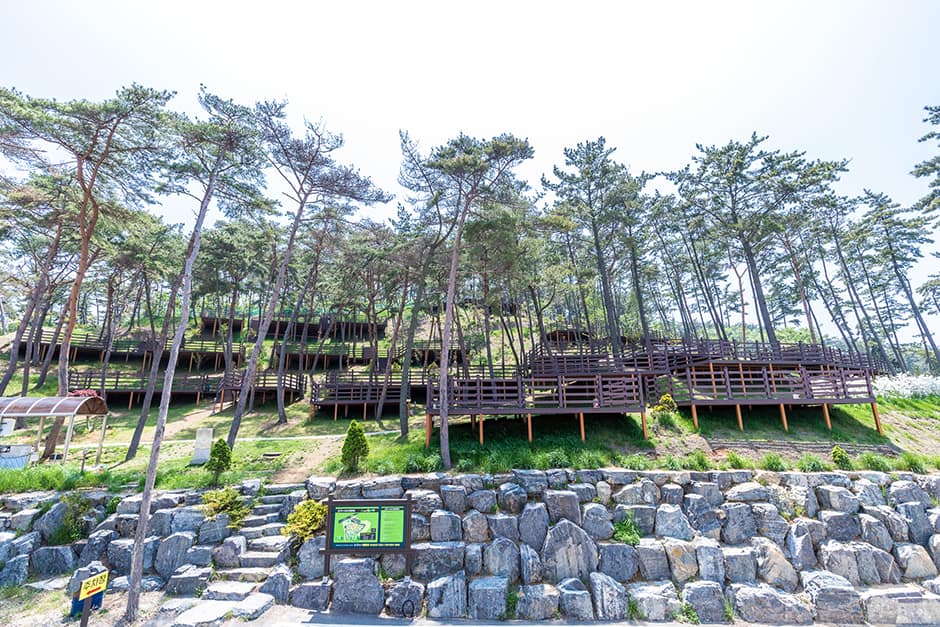 만리포솔향기캠핑장_전경1