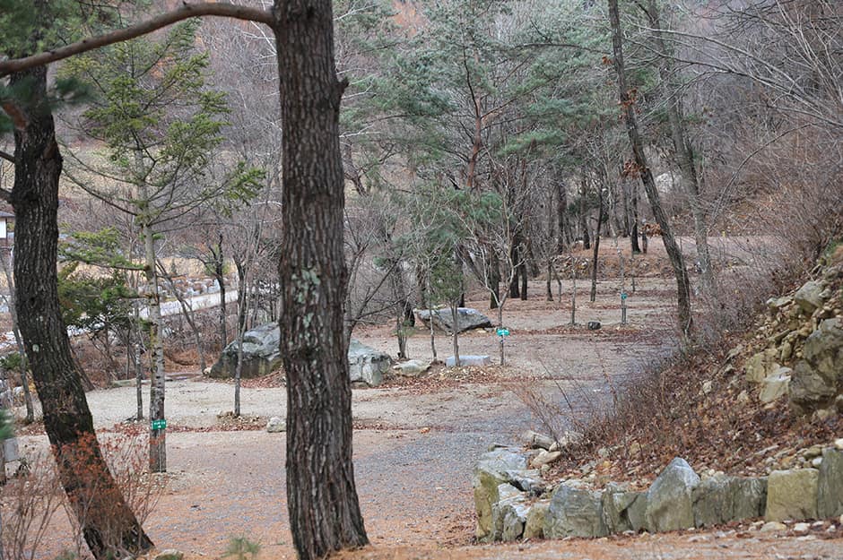 쿵쿵소 캠핑장_캠핑장2