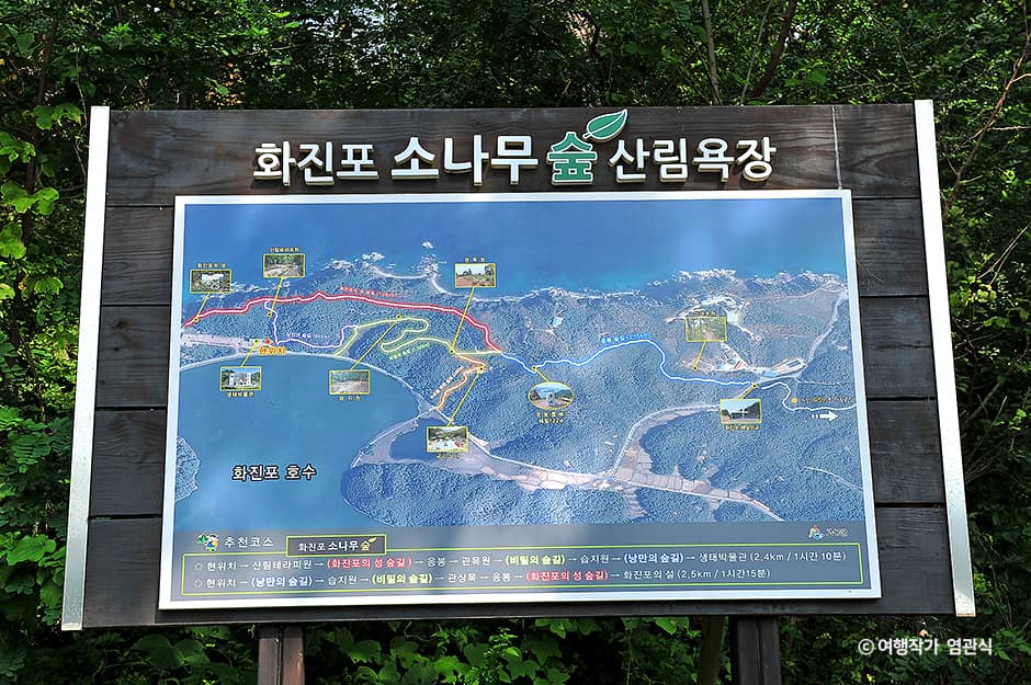 강원_고성_화진포소나무숲산림욕장_염관식 01