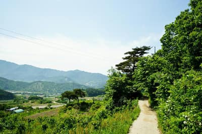 [지리산둘레길] 산동-주천