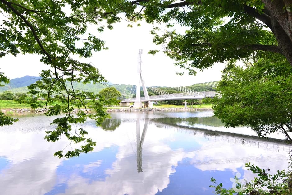 전남_화순_화순동복연둔리숲정이 (11)