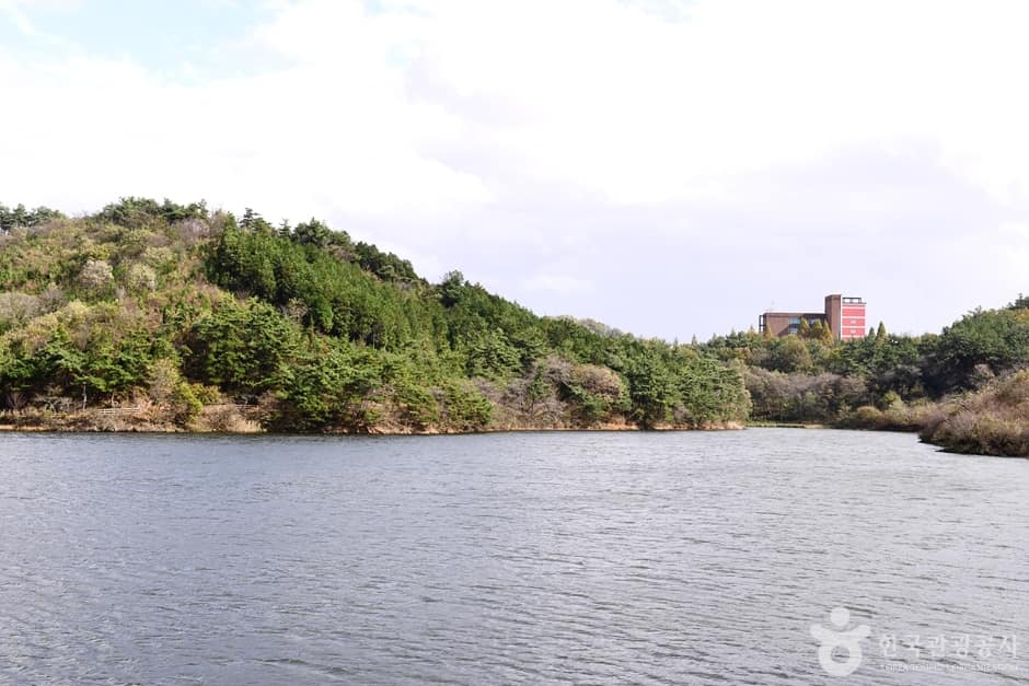 전북_군산_월명호수 (9)