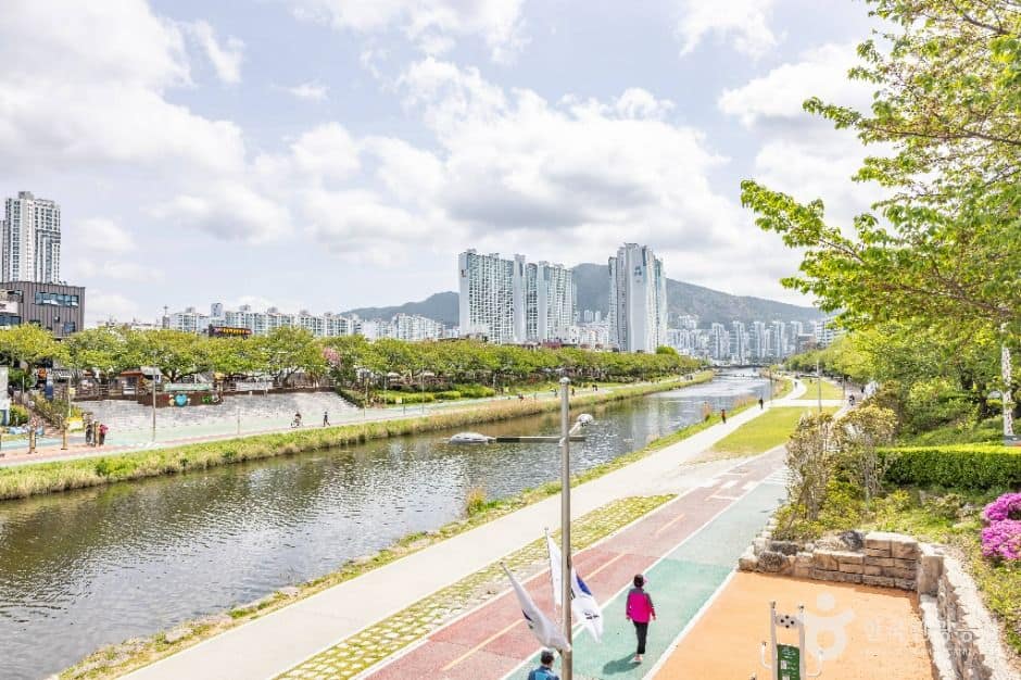 부산__온천천시민공원 (10)