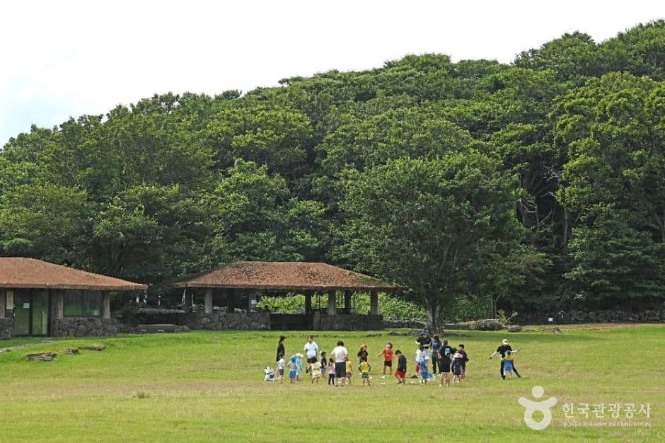 제주 교래자연휴양림 (4)