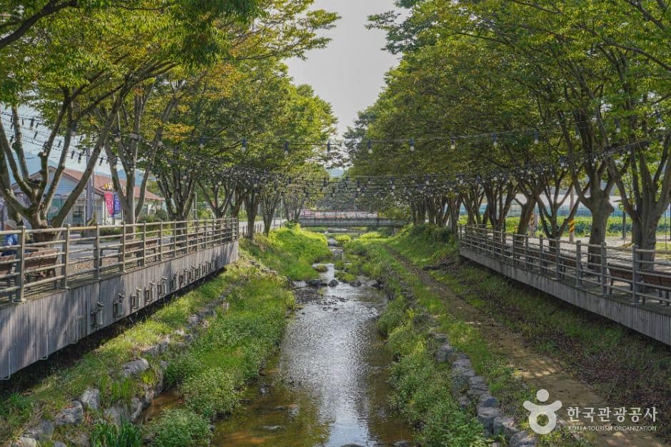 임실_임실 치즈마을 (1)