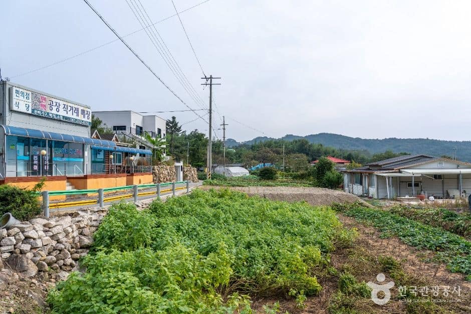 장성_모암마을 [산촌체험마을] (6)