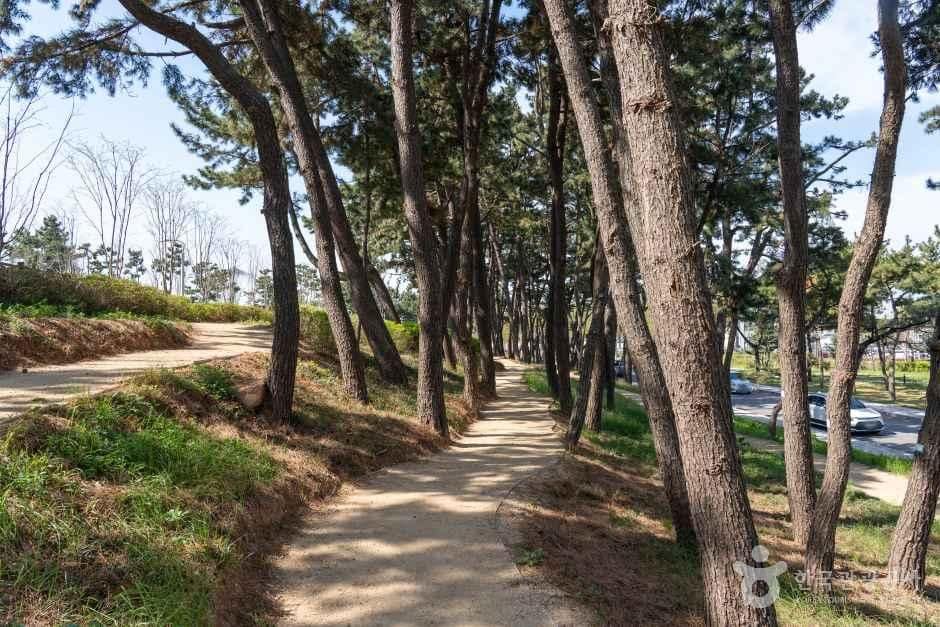 안산_대부도공원 (6).jpg