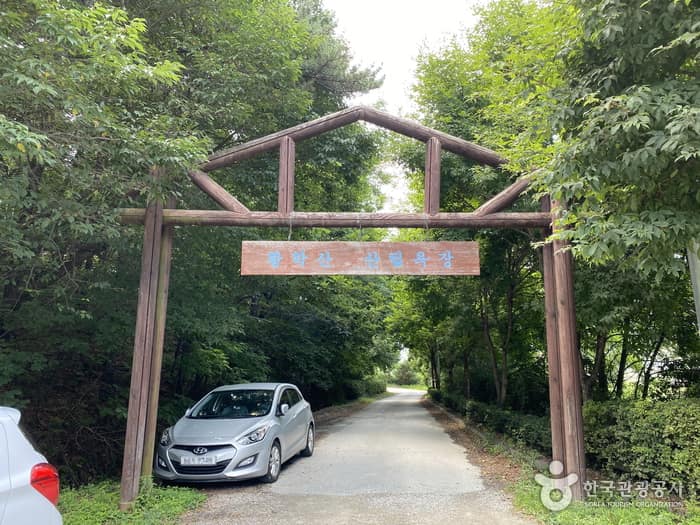 황학산산림욕장_2