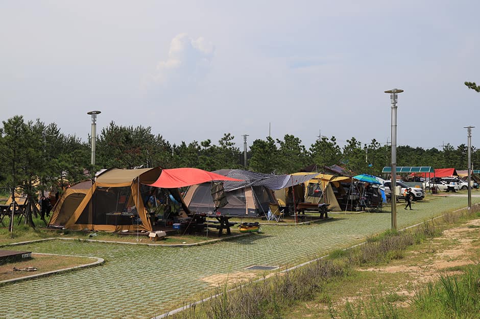 백도해수욕장오토캠핑장_전경2