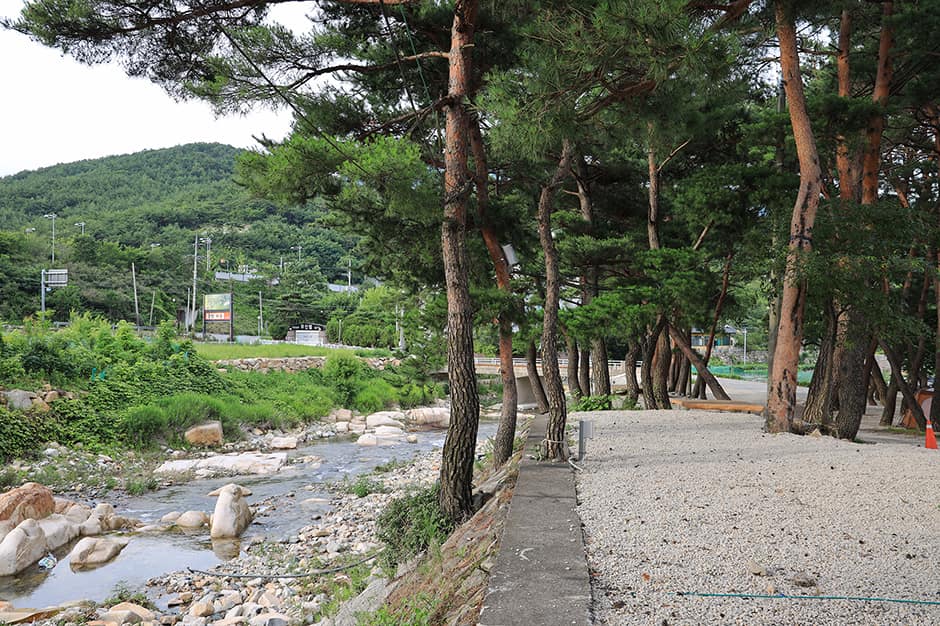 울산힐링캠프_주변물가