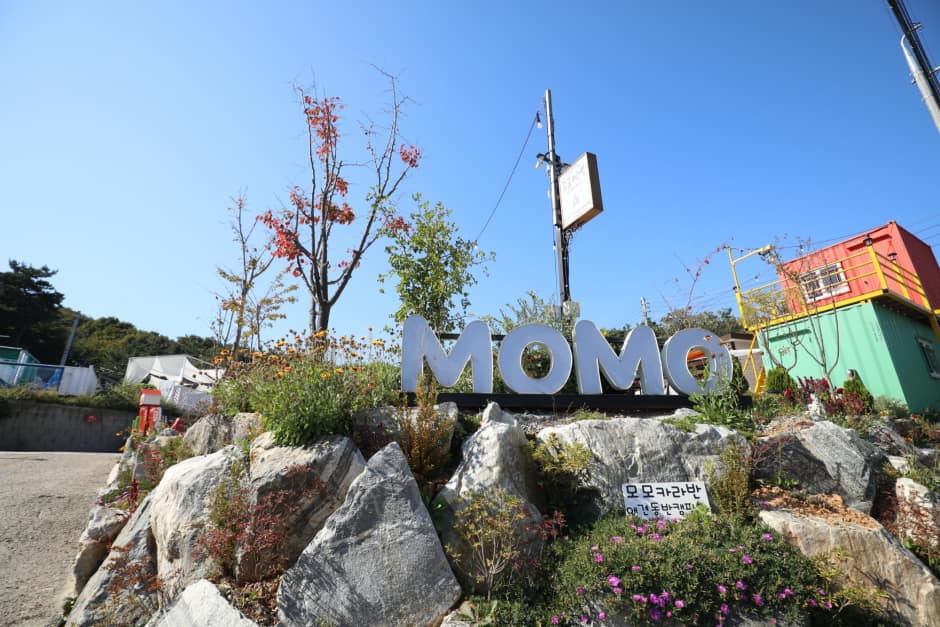 모모카라반 사진 2