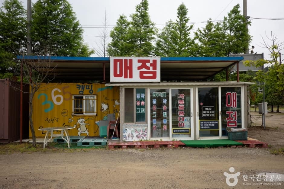 대부도캠핑시티 (14)