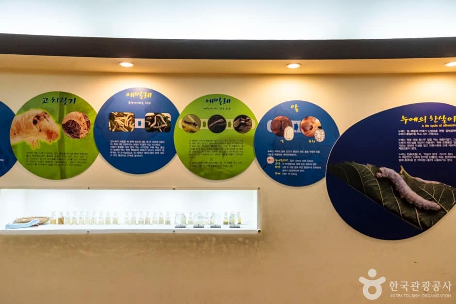 충북_청주_한국잠사박물관(15)