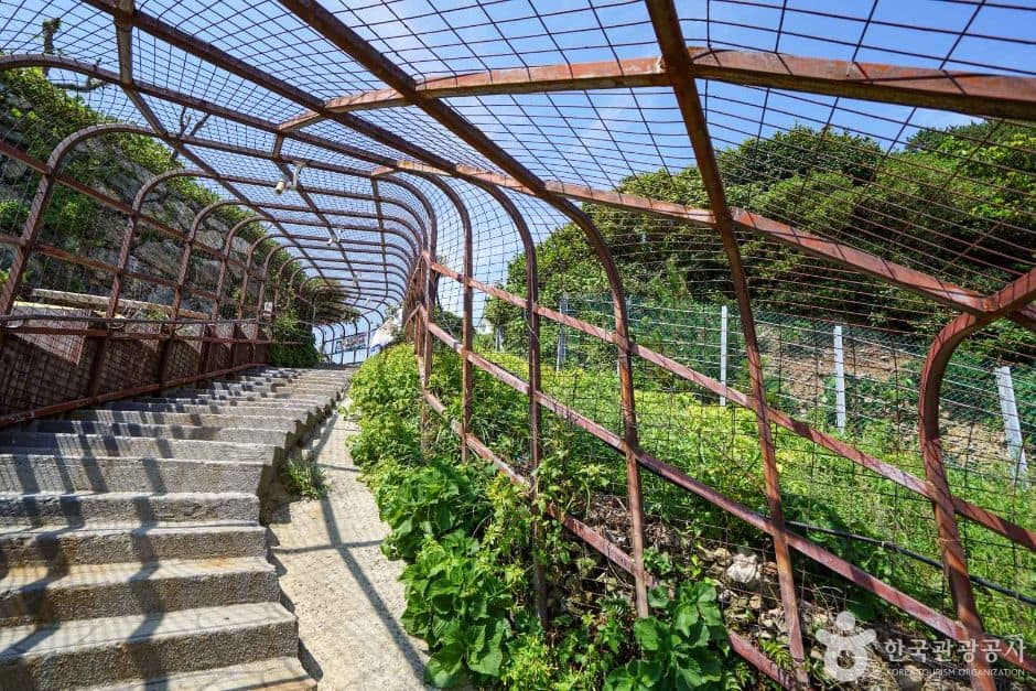 함목몽돌해변 (7)