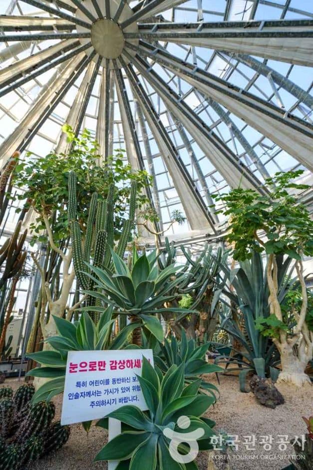 경기_고양_선인장다육식물연구소(구 선인장연구소) (2)