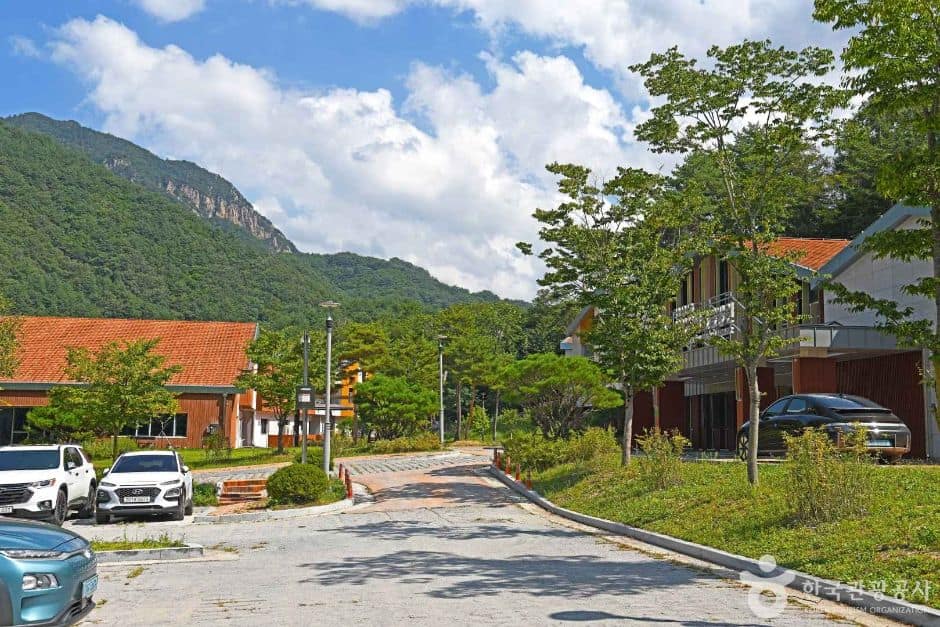설악산 생태탐방원 (2)