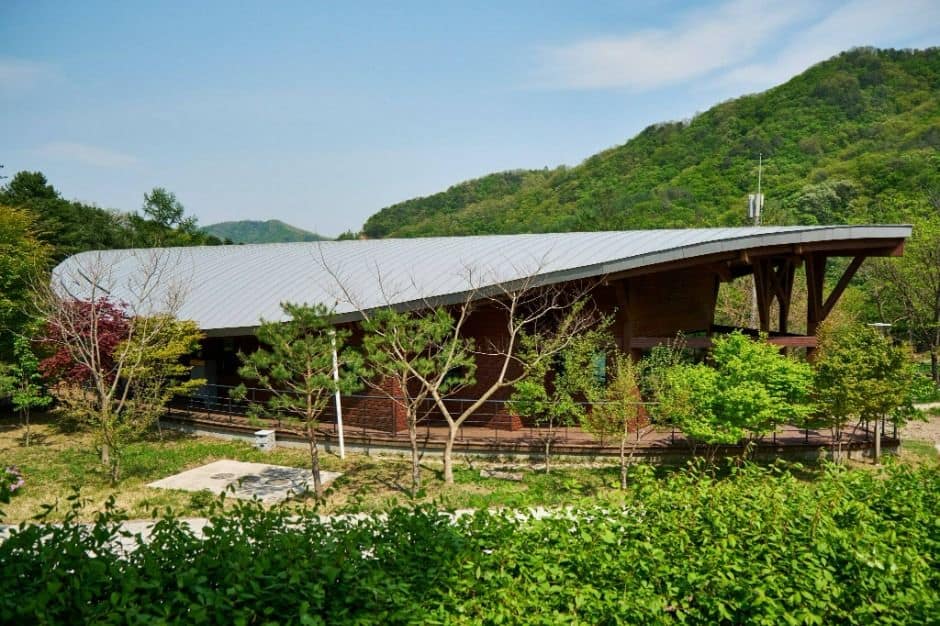 화천_산약초 마을 (1)