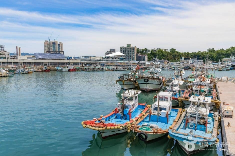 사천_삼천포항 (6)