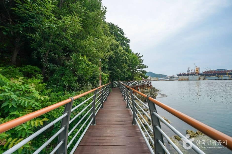 거제_옥포항 (1)