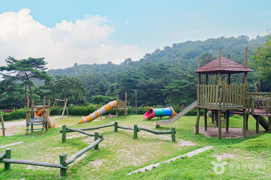나주_금성산생태숲 (5)