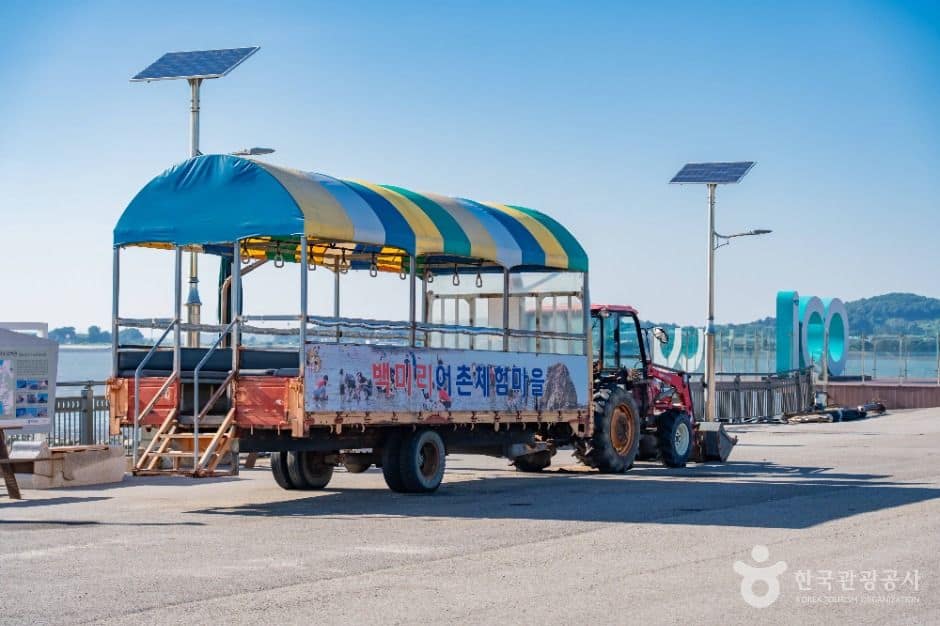 화성_백미리갯벌체험장 (4)