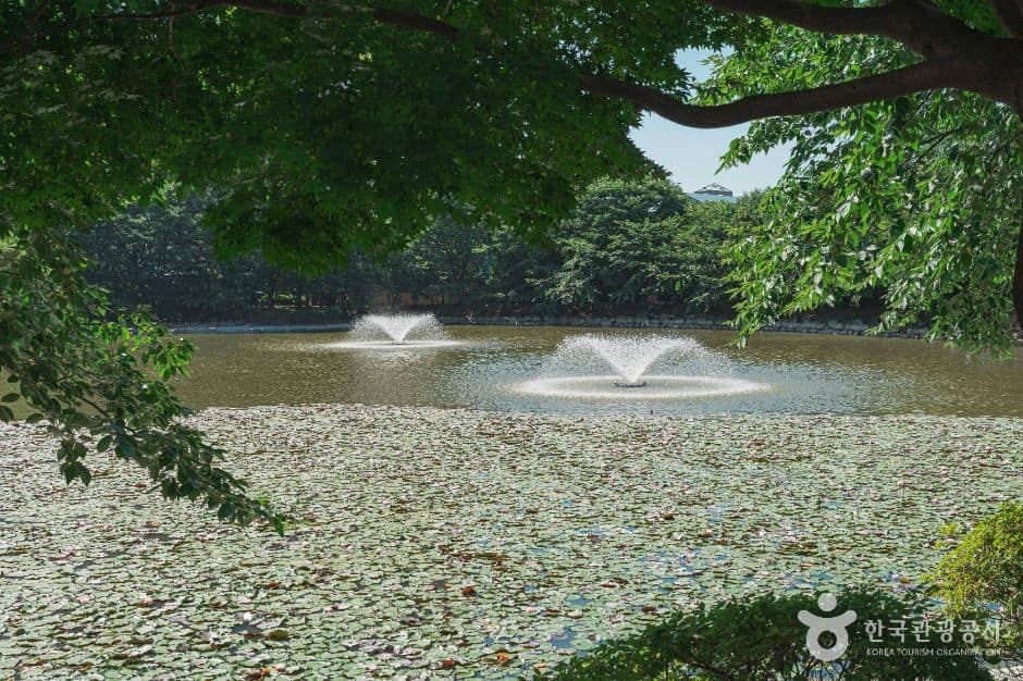 이천_안흥유원지 (5)