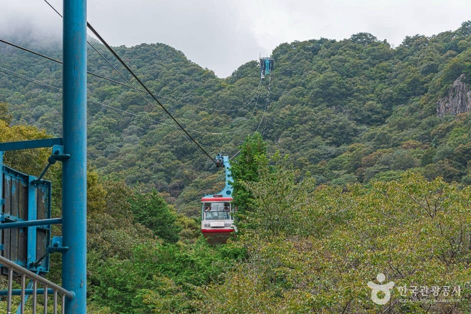 정읍_정읍 내장산 관광특구 (2)