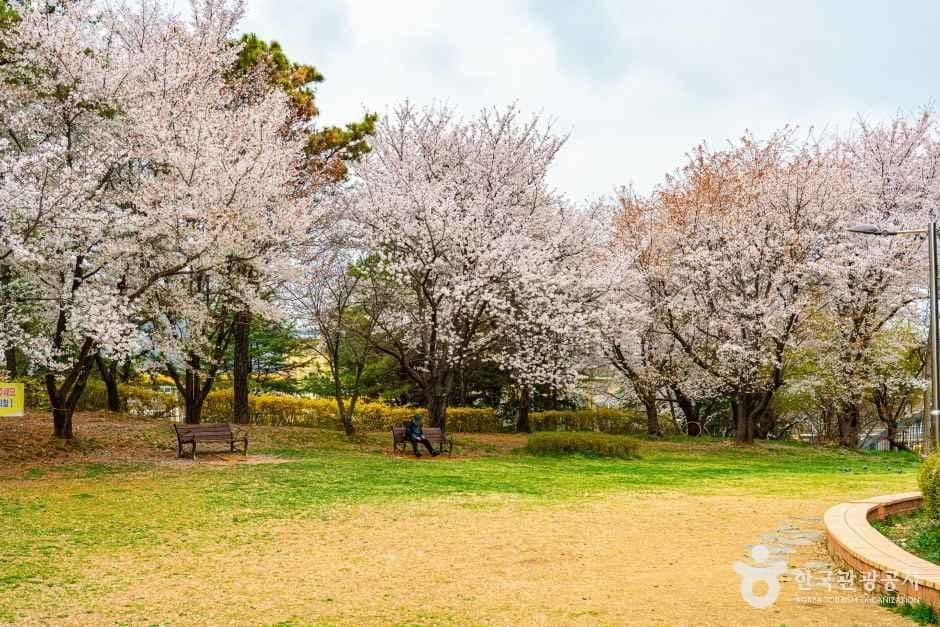 광주_문화근린공원 (6).jpg