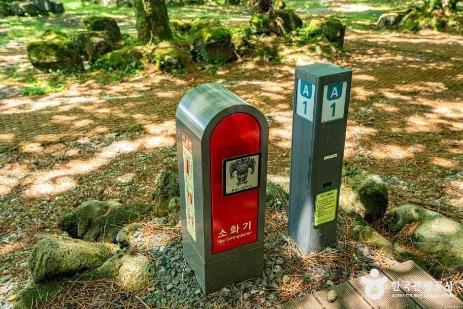 제주_관음사야영장 (4).jpg