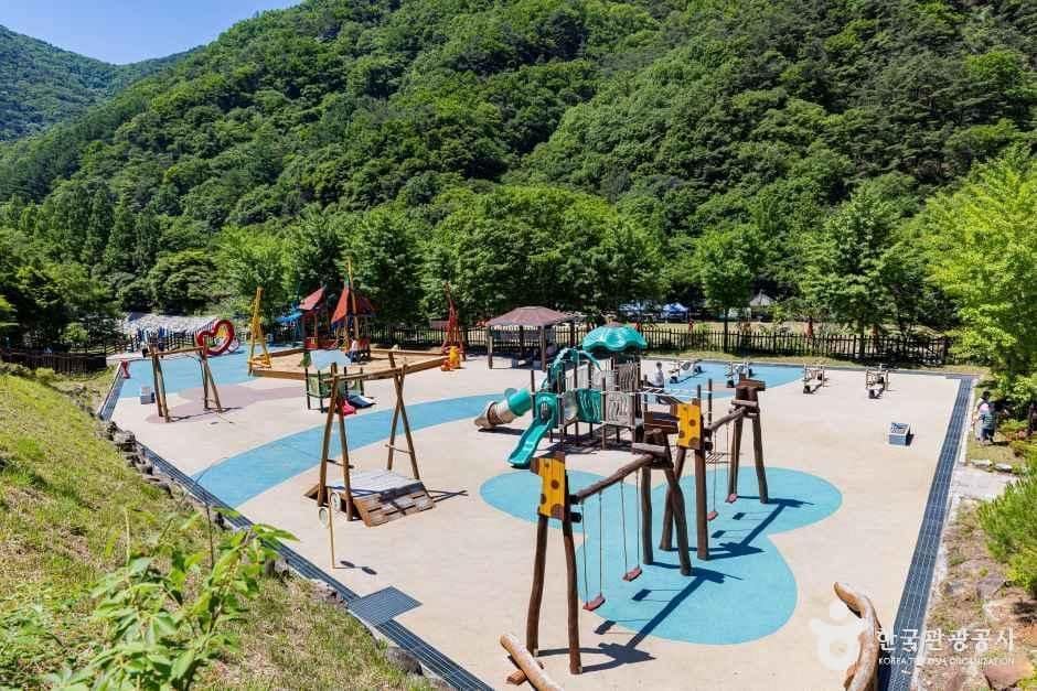옥천_장령산자연휴양림 (11).jpg