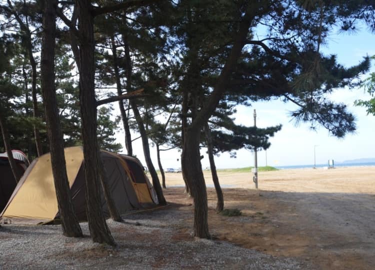 충남_태안군_몽산포그린캠핑장_풍경1