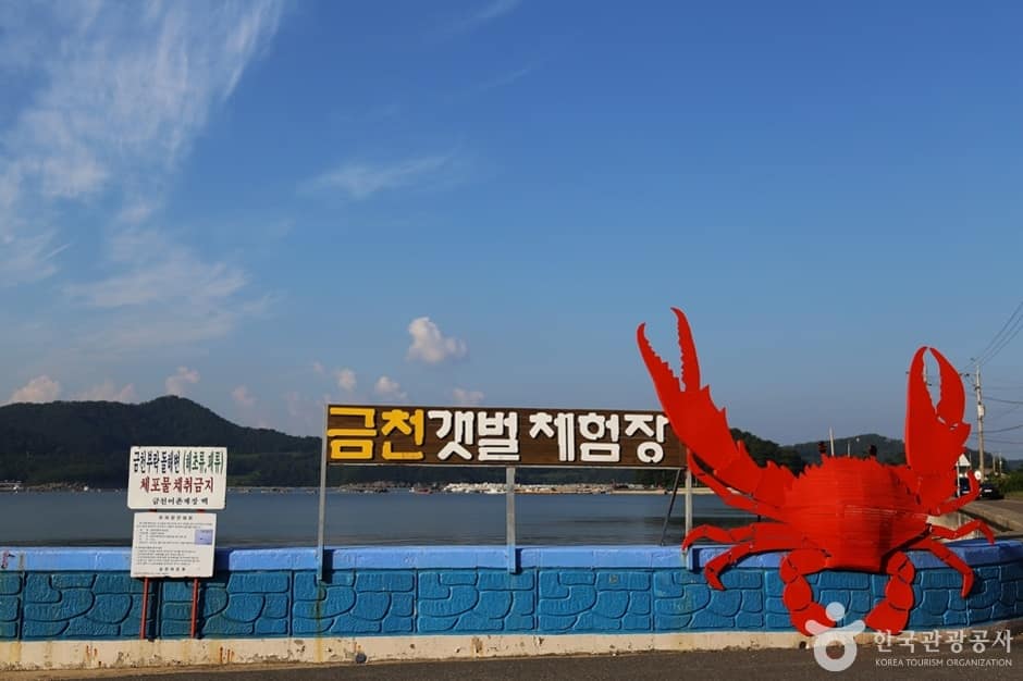 경남_남해_남해금천갯벌체험장 (1)