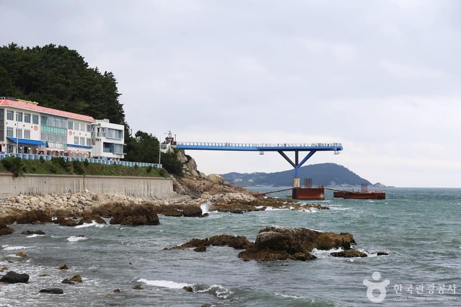 청사포 횟집촌 (10)