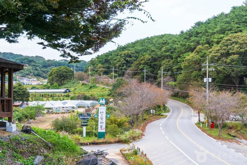 청양 칠갑산 산꽃마을 (9)