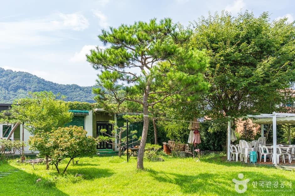 충북_옥천_문화예술공산바움(4)