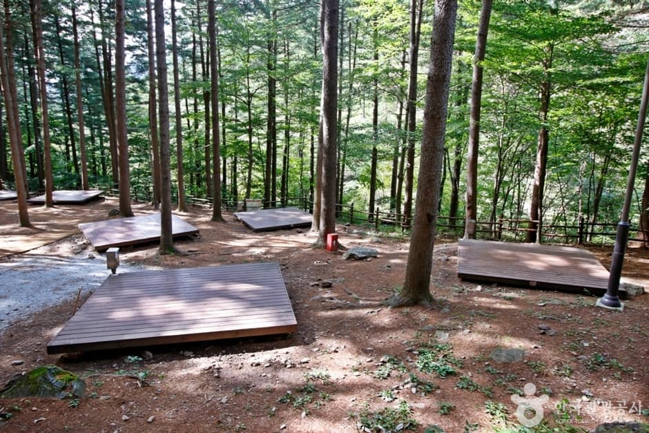 전북_무주_국립 덕유산자연휴양림 (10)