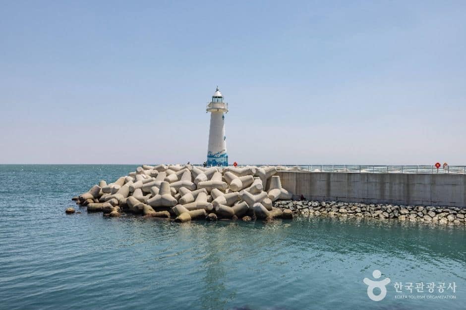 부산_청사포 (2)
