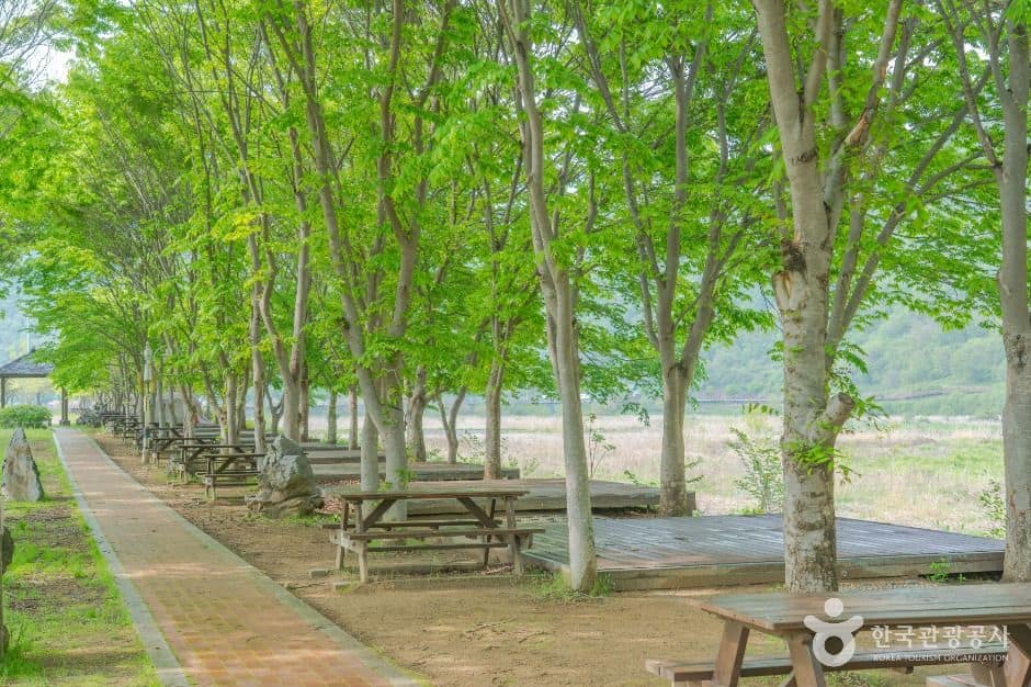 평창_평창 바위공원 (6)