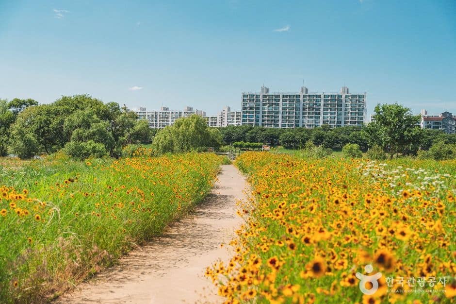 대구_팔현생태공원 (1)